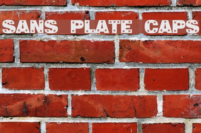 Sans Plate Caps Font examples