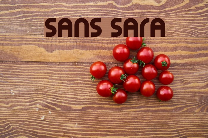 Sans Sara Font examples