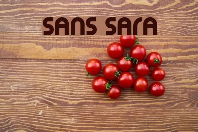 Sans Sara Example 2