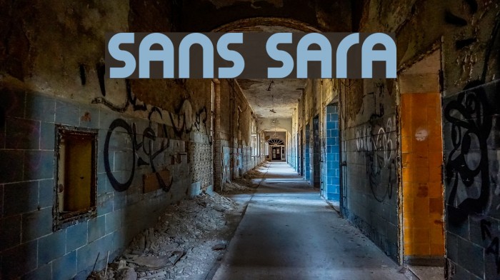 Sans Sara Font examples