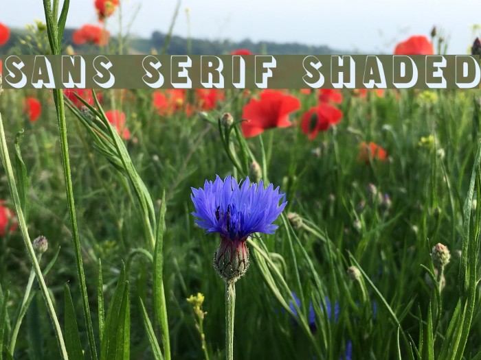 Sans Serif Shaded Font examples