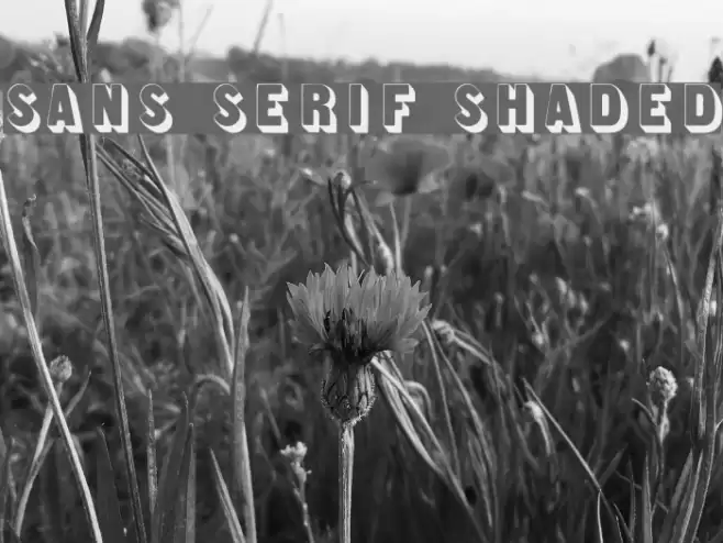 Sans Serif Shaded フォント examples