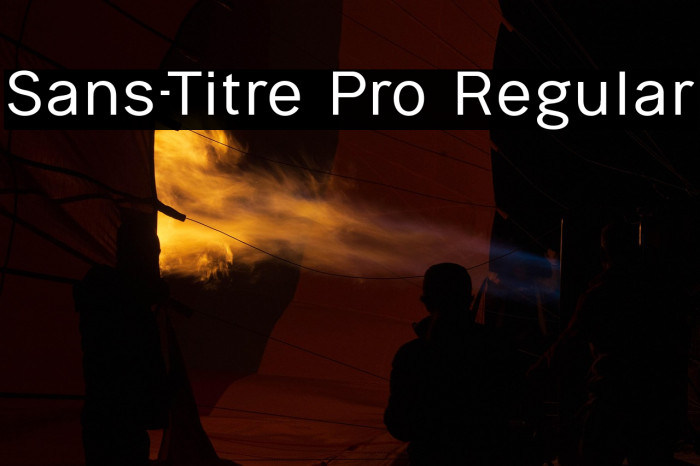 Sans-Titre Pro Regular Example 1