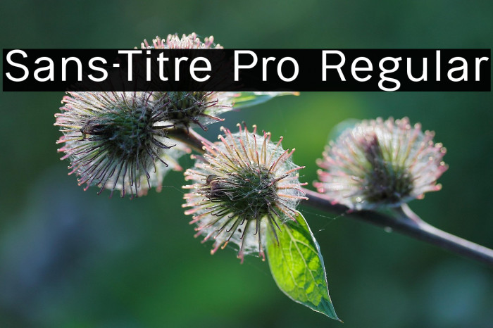 Sans-Titre Pro Regular Example 2