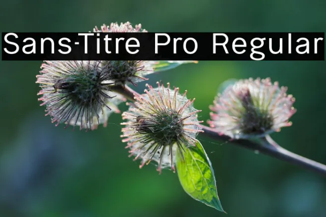 Sans-Titre Pro Regular Example 2