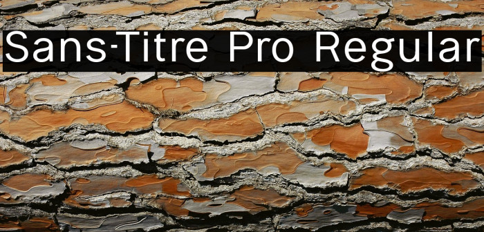 Sans-Titre Pro Regular Example 3
