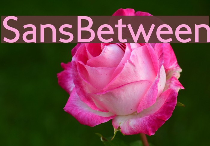 SansBetween Font examples