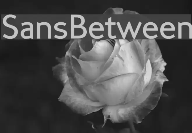 SansBetween Font examples