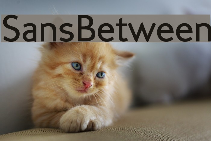 SansBetween Font examples