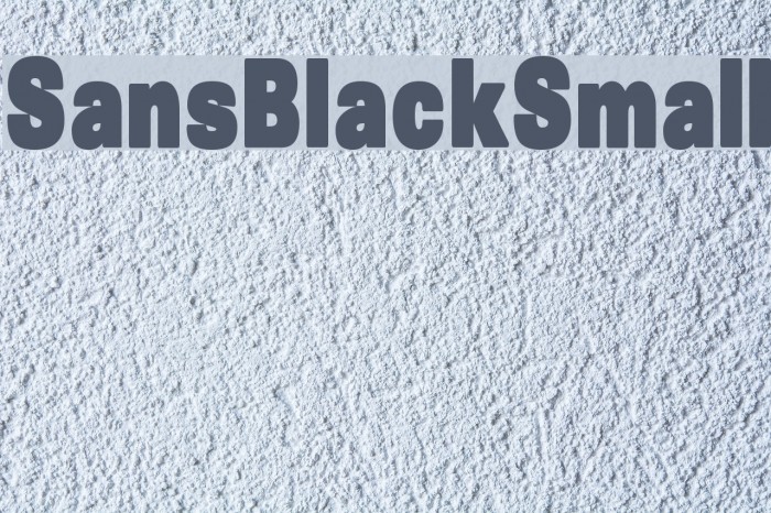 SansBlackSmall Font examples