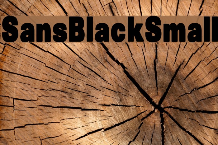 SansBlackSmall Font examples