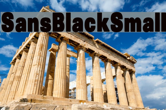 SansBlackSmall Font examples