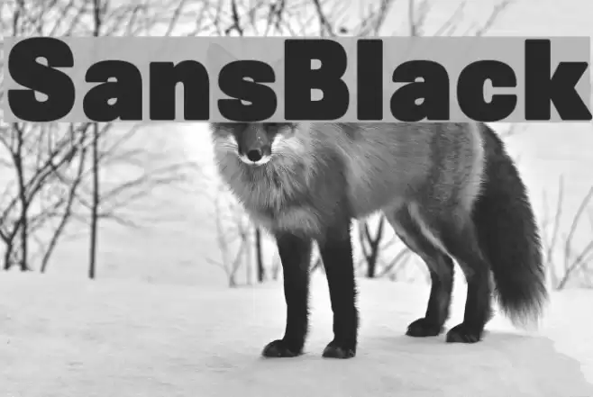 SansBlack Schriftart examples