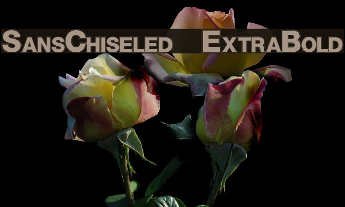 SansChiseled ExtraBold Font examples