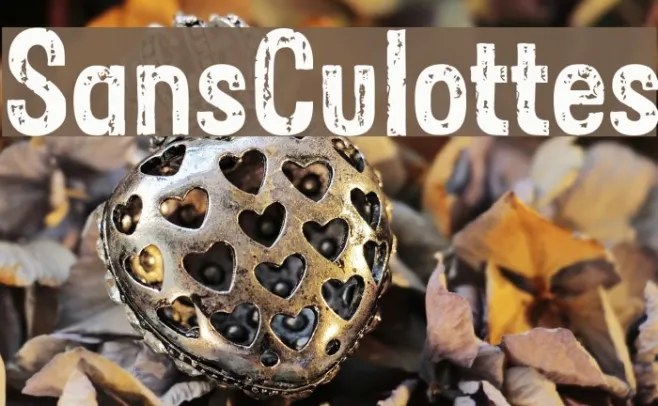 SansCulottes Example 2