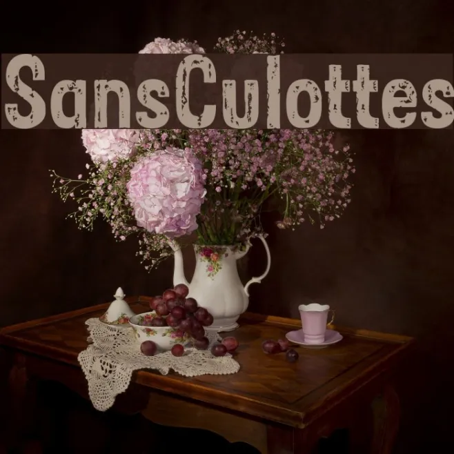 SansCulottes Example 3