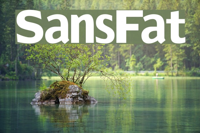 SansFat Font examples