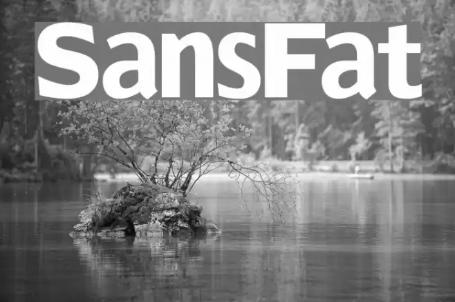 SansFat Font examples