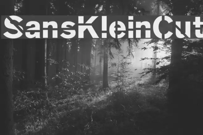 SansKleinCut Font examples