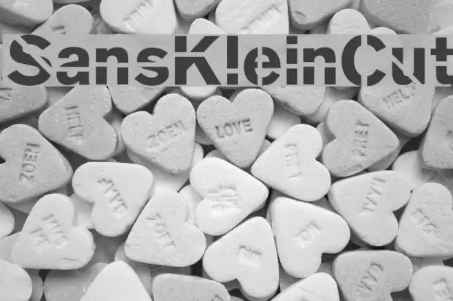 SansKleinCut Font examples