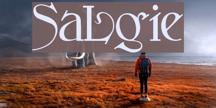 SansLogique Fonte examples