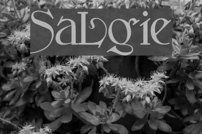 SansLogique Fonte examples