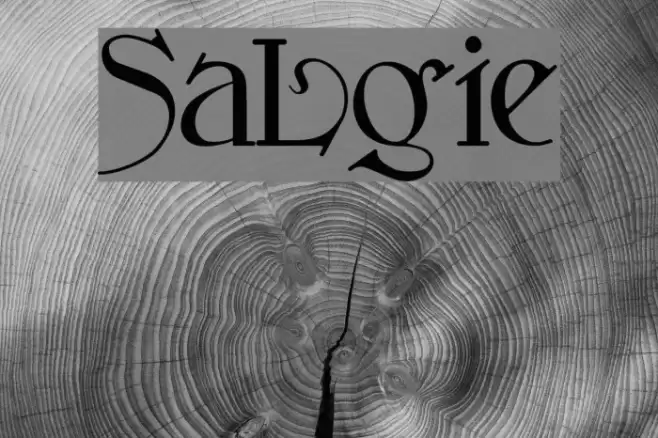 SansLogique Fonte examples