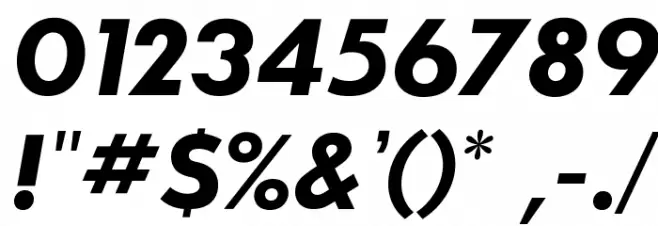 SansSerifBldFLF-Italic Font OTHER CHARS