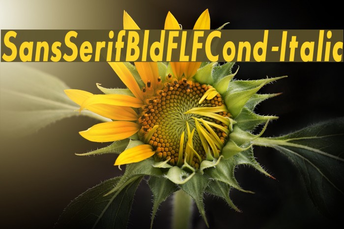 SansSerifBldFLFCond-Italic Font examples