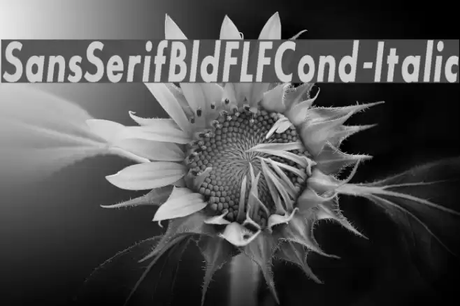 SansSerifBldFLFCond-Italic Font examples
