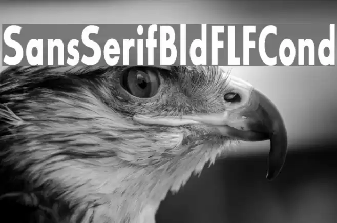 SansSerifBldFLFCond Font examples