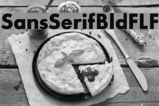 SansSerifBldFLF Font examples