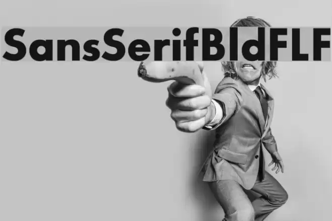 SansSerifBldFLF Font examples