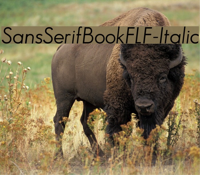 SansSerifBookFLF-Italic Font examples
