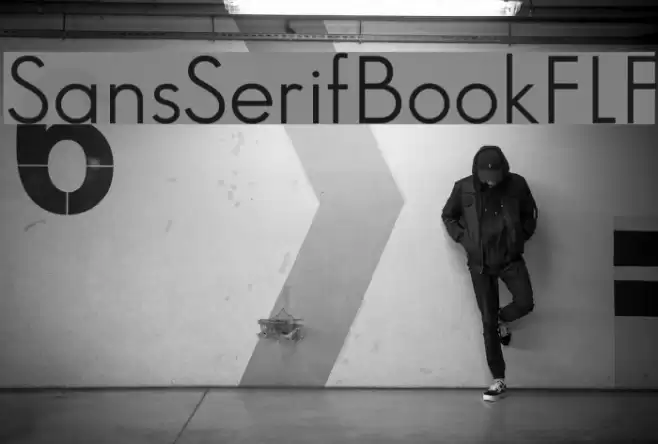 SansSerifBookFLF Font examples