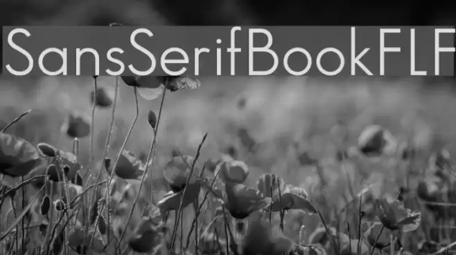 SansSerifBookFLF Font examples