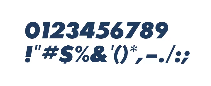 SansSerifExbFLF-Italic Font OTHER CHARS