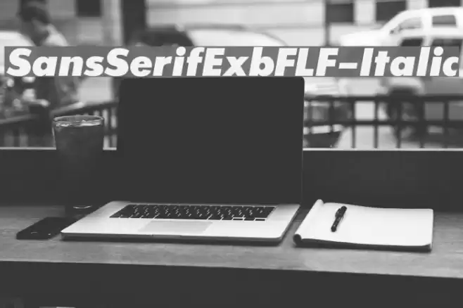 SansSerifExbFLF-Italic Font examples