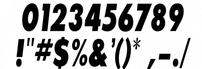 SansSerifExbFLFCond-Italic Font OTHER CHARS