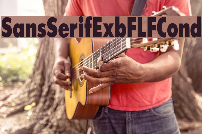 SansSerifExbFLFCond Font examples