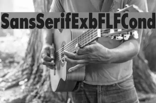 SansSerifExbFLFCond Font examples