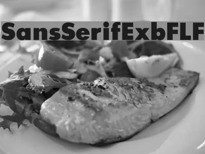 SansSerifExbFLF Font examples