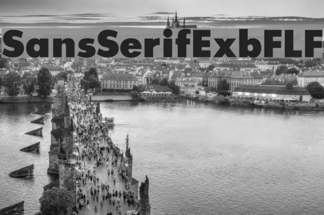 SansSerifExbFLF Font examples
