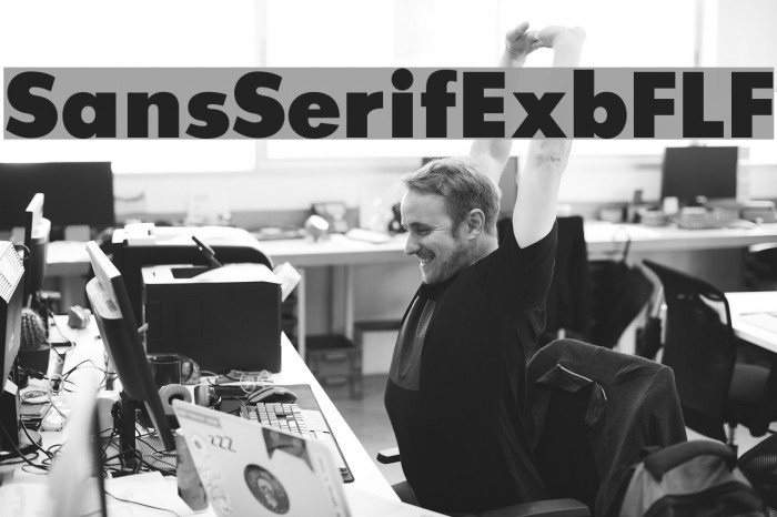 SansSerifExbFLF Font examples