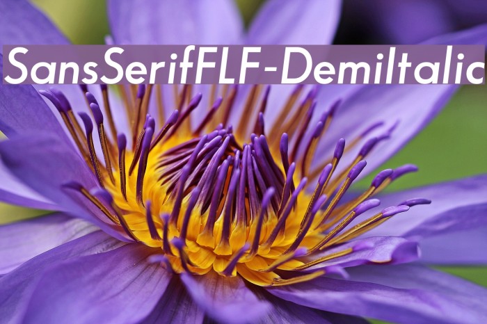 SansSerifFLF-DemiItalic Font examples