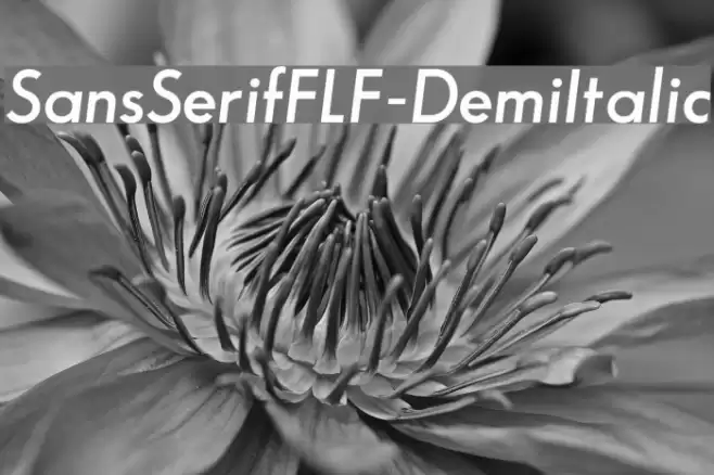 SansSerifFLF-DemiItalic examples