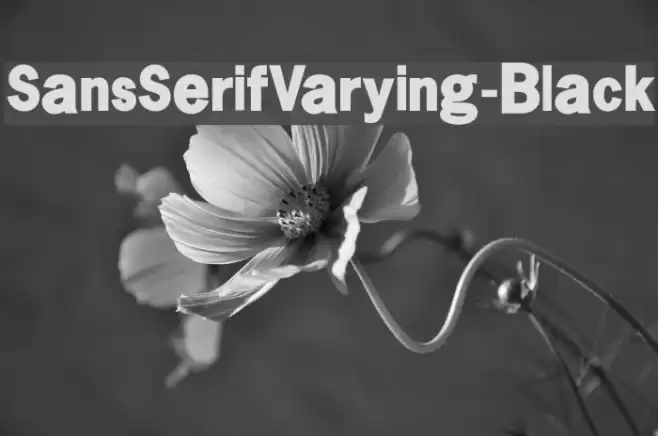 SansSerifVarying-Black Font examples