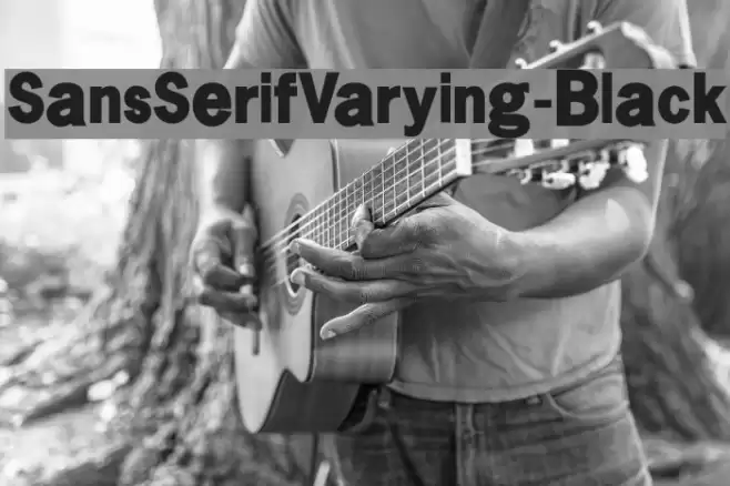 SansSerifVarying-Black Font examples