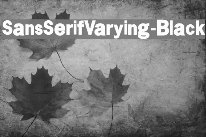 SansSerifVarying-Black Font examples