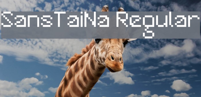 SansTaiNa Regular Font examples